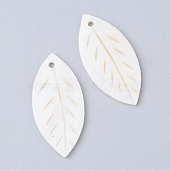 Freshwater Shell Pendants, Leaf, Floral White, 27.5x13.5x1.5mm, Hole: 1.5mm(SHEL-S249-09)