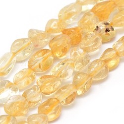 Natural Citrine Beads Strands, Tumbled Stone, Nuggets, 6~10x5~6.5x3~6mm, Hole: 1mm, about 15.55 inch(39.5cm)(X-G-P331-03A)