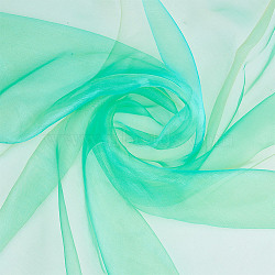 Polyester Organza Fabric, for DIY Bridal Veil Dress Short Skirt, Spring Green, 15.3cm, 5m/sheet(DIY-WH0622-049B)