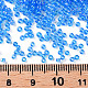 12/0 Grade A Round Glass Seed Beads(SEED-Q010-F545)-3