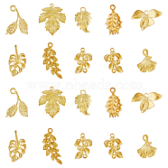 SUPERFINDINGS DIY Jewelry Making Finding Kit, Including Brass Pendant and Link Connectors, Oak & Ginkgo & Grape Leaf, Raw(Unplated), 14~22.5x9~20.5x1.5~6mm, Hole: 1~2mm, 20Pcs/box(KK-FH0006-17)