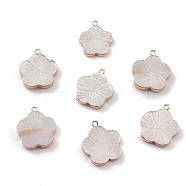 Natural Freshwater Shell Pendants, Flower Charms, with Light Gold Plated Brass Findings, Seashell Color, 21~22.5x18~20x2.5~4mm, Hole: 1.6~1.8mm(BSHE-E028-06KCG)