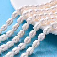 Natural Cultured Freshwater Pearl Beads Strands, Oval, Seashell Color, 7~13x7~8mm, Hole: 0.8mm, about 32~40pcs/strand, 14.1 inch