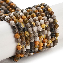 Natural Bumblebee Jasper Beads Strands, Faceted, Round, 3mm, Hole: 0.7mm, about 120~130pcs/strand, 15.35~15.59 inch(39~39.6cm)(G-L597-C03-01)