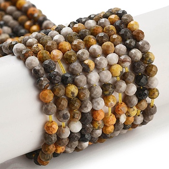 Natural Bumblebee Jasper Beads Strands, Faceted, Round, 3mm, Hole: 0.7mm, about 120~130pcs/strand, 15.35~15.59 inch(39~39.6cm)