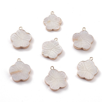 Natural Freshwater Shell Pendants, Flower Charms, with Light Gold Plated Brass Findings, Seashell Color, 21~22.5x18~20x2.5~4mm, Hole: 1.6~1.8mm