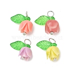 4Pcs 4 Colors Rose Flower Shape Synthetic Shell Charms, with Brass Loops & Transparent Acrylic Leaf, Platinum, Mixed Color, 13x11x6.5mm, Hole: 3mm, 1pc/color(PALLOY-JF03863-S)