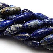 Natural Gemstone Lapis Lazuli Rice Beads Strands, 30x12mm, Hole: 1mm, about 13pcs/strand, 15.75 inch(G-E251-28)