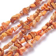 Natural Imperial Jasper Bead Strands, Dyed, Chips, Orange, 6~10x5~8x4~6mm, Hole: 1.2mm, about 79pcs/strand, 15.75 inch(40cm)(G-P444-05B)
