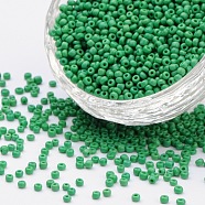 Glass Seed Beads, Opaque Colours Seed, Small Craft Beads for DIY Jewelry Making, Round, Pale Green, 2mm, Hole:1mm, about 30000pcs/pound(SEED-A010-2mm-47)