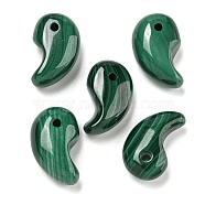 Natural Malachite Pendants, Magatama Charms, 20x12x8mm, Hole: 2mm(G-Q185-02)