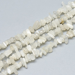 Natural White Moonstone Beads Strands, Chip, Old Lace, 3~11x3~5x1~4mm, Hole: 1mm, about 380~400pcs/strand, 33 inch(G-S315-34)