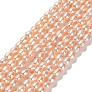 Natural Cultured Freshwater Pearl Beads Strands, Rice, Grade 4A, Light Salmon, 2.5~3x4~4.5mm, Hole: 0.5mm, about 91pcs/strand, 14.69''(37.3cm)(PEAR-E016-141)
