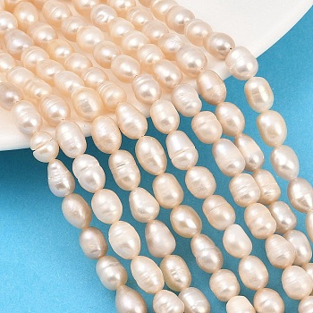 Natural Cultured Freshwater Pearl Beads Strands, Rice, Grade 2A, Old Lace, 6~7mm, Hole: 0.6mm, about 45pcs/strand, 13.46''(34.2cm)~13.70''(34.8cm)