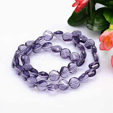 Faceted Flat Round Imitation Austrian Crystal Bead Strands(G-M193-10mm-26A)-2