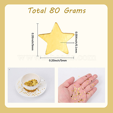 80g PVCプラスチックスパンコール紙吹雪(AJEW-SP0001-99C)-2