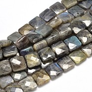 Natural Labradorite Square Bead Strands, Faceted, 12x12x6mm, Hole: 1mm, about 34pcs/strand, 15.74 inch(G-L357-12mm-10)