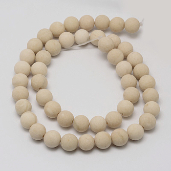 Natural Fossil Beads Strands, Frosted, Round, 14mm, Hole: 1mm, about 27pcs/strand, 15 inch