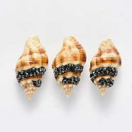 Spiral Shell Beads, with Polymer Clay Rhinestones, No Hole/Undrilled, Black Diamond, PP11(1.7~1.8mm), 24~28x23~26x11~14mm(SSHEL-N033-05B)