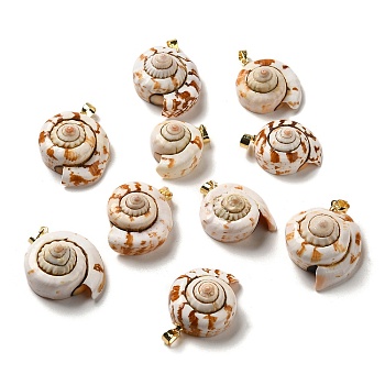 Natural Spiral Shell Pendants, Shell Shape Charms with Brass Snap on Bails, Golden, 23~29.5x18~25x12~16mm, Hole: 5x3.5mm