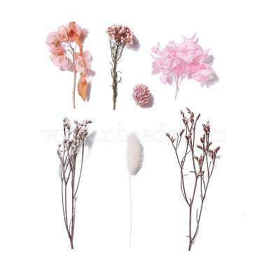 Сушеные цветы(DIY-D052-13)-2