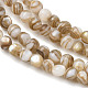 Natural Freshwater Shell Beads Strands(SHEL-K006-71C)-3