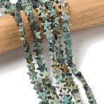 Natural African Turquoise(Jasper) Beads Strands, Star, 6x6x2mm, Hole: 0.7mm, about 72pcs/strand, 14.96''(38cm)(G-F817-A14-01)