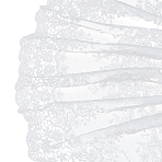 3 Yards Cotton Lace Trim Fabric, Tablecloth Skirt Bedding Curtain Accessories, White, 395x1mm(DIY-DC0003-42)