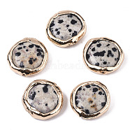 Natural Dalmatian Jasper Beads, with Light Gold Plated Polymer Clay Edge, Flat Round, 17~19x17~18x5~7mm, Hole: 1.2mm(G-S359-112)