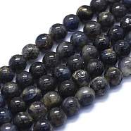 Natural Iolite Beads Strands, Round, 8mm, Hole: 1mm, about 48~49pcs/Strand, 15.35 inch(39cm)(G-E561-16-8mm)