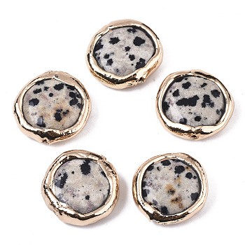 Natural Dalmatian Jasper Beads, with Light Gold Plated Polymer Clay Edge, Flat Round, 17~19x17~18x5~7mm, Hole: 1.2mm