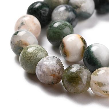 Natural Tree Agate Beads Strands(G-I199-03-8mm)-2