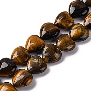 Natural Tiger Eye Beads Strands, Heart, 14~14.5x13.5~14x6~6.5mm, Hole: 1mm, about 28pcs/strand, 15.16''(38.5cm)(G-I372-A14-02)