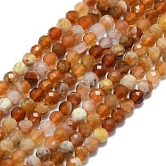 Natural Fire Opal Beads Strands, Faceted, Round, 2.5~3mm, Hole: 0.5mm, about 138~142pcs/strand, 15.35~15.55 inch(39~39.5cm)(G-G106-C03-02)