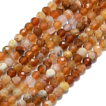 Natural Fire Opal Beads Strands, Faceted, Round, 2.5~3mm, Hole: 0.5mm, about 138~142pcs/strand, 15.35~15.55 inch(39~39.5cm)