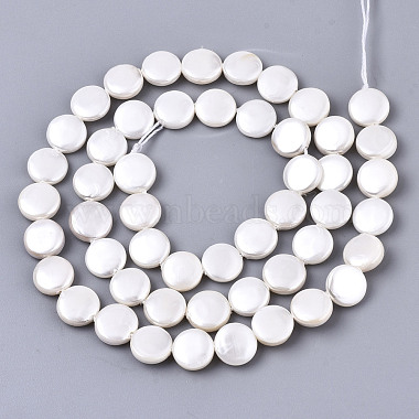 Natural Freshwater Shell Beads Strands(X-SHEL-N026-50A-01)-2