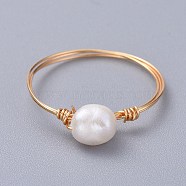 Grade A Natural Freshwater Pearl Rings, with Eco-Friendly Copper Wire, Golden, 19mm, 1mm(RJEW-JR00268)