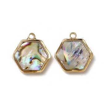 Natural Paua Shell Resin Hexagon Charms, with Brass Findings, Golden, 14.5x13.5x3.5mm, Hole: 1.5mm
