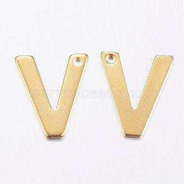 304 Stainless Steel Charms(STAS-P141-V)-2