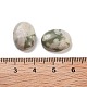 natürliche Peace-Jade-Cabochons(G-G145-01B-55)-3