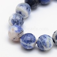 Natural Sodalite Beads Strands, Round, Faceted, 12mm, Hole: 1mm, about 32pcs/strand, 15.5 inch(G-L149-12mm-01)