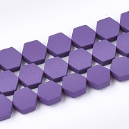 Spray Painted Non-magnetic Synthetic Hematite Beads Strands, Hexagon, Dark Orchid, 8.5x8x3mm, Hole: 1mm, about 45pcs/strand, 15.7 inch(G-T116-03C-15)