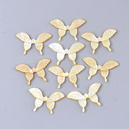 Yellow Shell Cabochons, Butterfly, Gold, 19.5x30x2~3mm(SSHEL-S264-068B)
