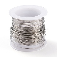 316 Surgical Stainless Steel Wire, for Jewelry Making, Stainless Steel Color, 22 Gauge, 0.6mm, about 59.05 Feet(18m)/roll(TWIR-L004-01A-P)