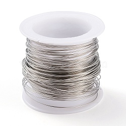 316 Surgical Stainless Steel Wire, for Jewelry Making, Stainless Steel Color, 23 Gauge, 0.6mm, about 59.05 Feet(18m)/roll(TWIR-L004-01A-P)