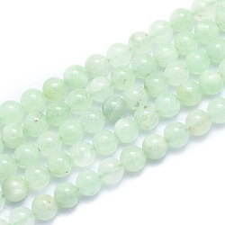 Natural Prehnite Beads Strands, Round, 8~8.5mm, Hole: 0.8mm, about 46pcs/Strand, 15.08 inch(38.3cm)(G-K310-C13-8mm)