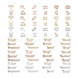 Craftdady 72pcs 6 Sets 6 Style Alloy Pendants, 12 Constellations, Mixed Color, 1set/style, Mixed Color, 1set/style(FIND-CD0001-10)