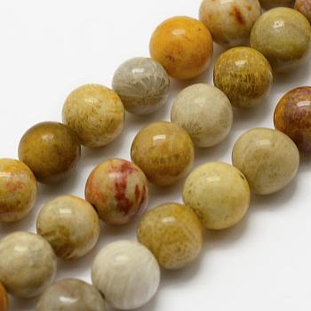 Natural Fossil Coral Beads Strands, Round, 4mm, Hole: 1mm, about 95pcs/strand, 15.3 inch(39cm)
