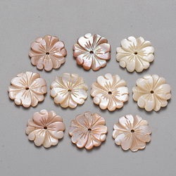 Natural Pink Shell Beads, Flower, 17x2mm, Hole: 1.4mm(SSHEL-R044-01)