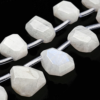 Natural Rainbow Moonstone Beads Strands, Faceted, Teardrop, Top Drilled, 10~18x8~13x3~7mm, Hole: 1mm, about 27pcs/strand, 15.79''~15.98''(40.1~40.6cm)